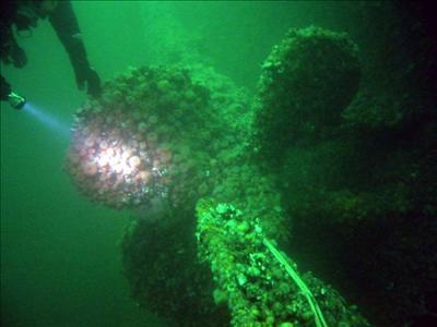 Ein Propeller von M 36