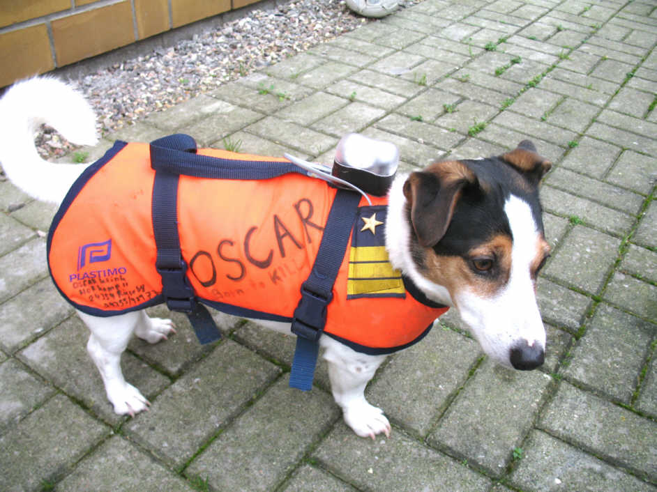 KK Oscar